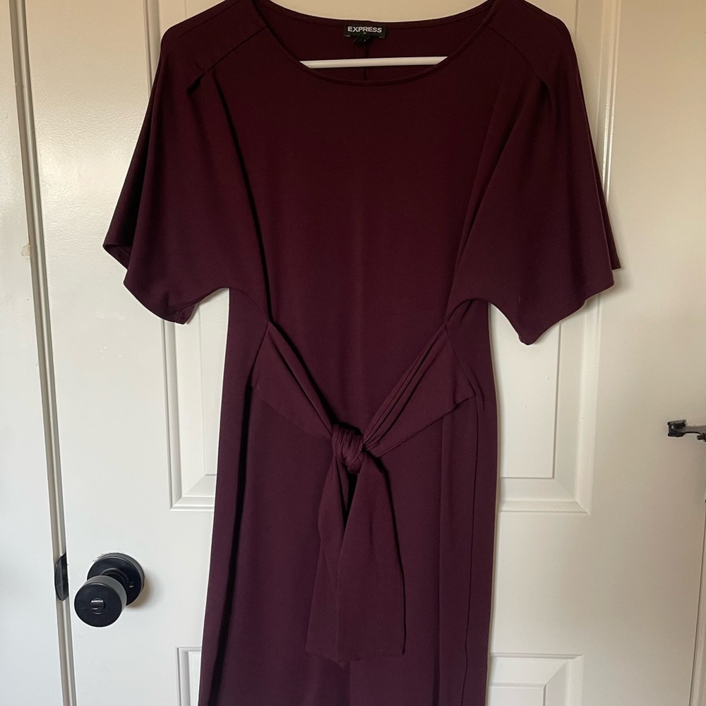Express Women's Burgundy Dress Size Small